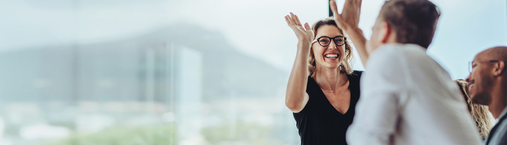 About Carver Insurance Services, Inc